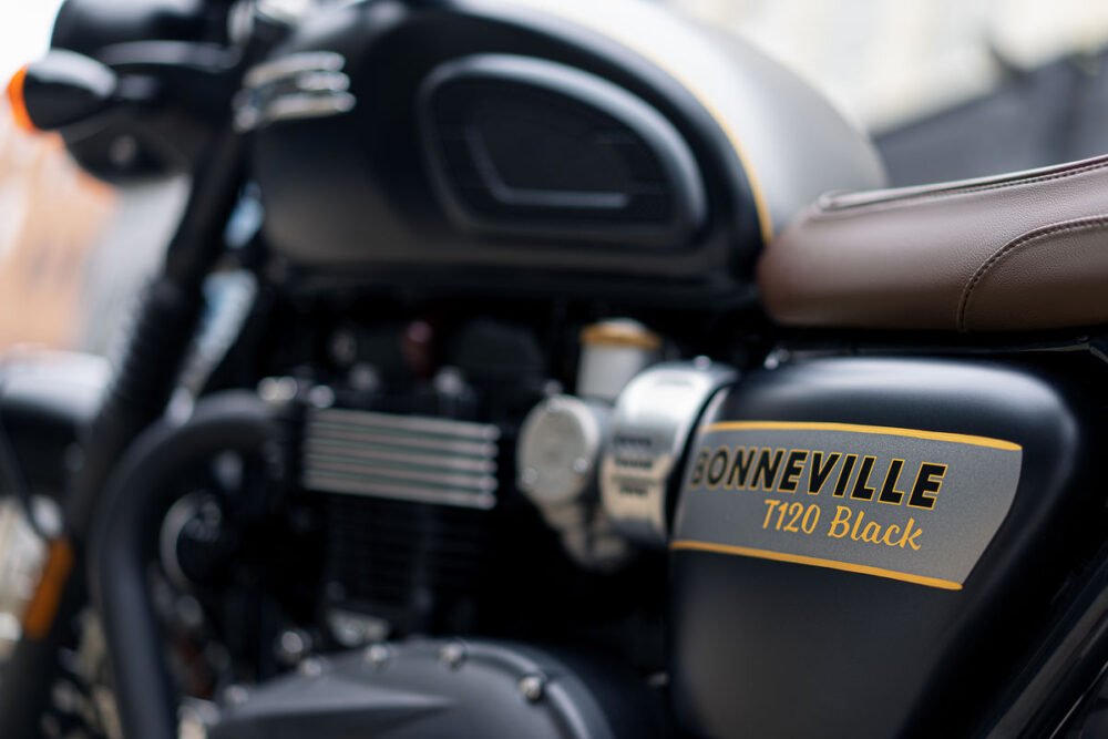 bonneville t120 black gold line